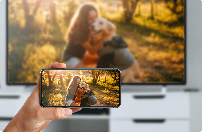 Nero MediaHome – Streamen